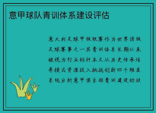 意甲球队青训体系建设评估