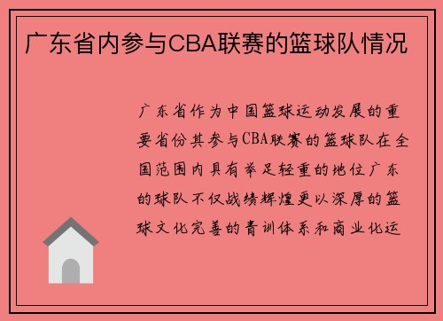 广东省内参与CBA联赛的篮球队情况